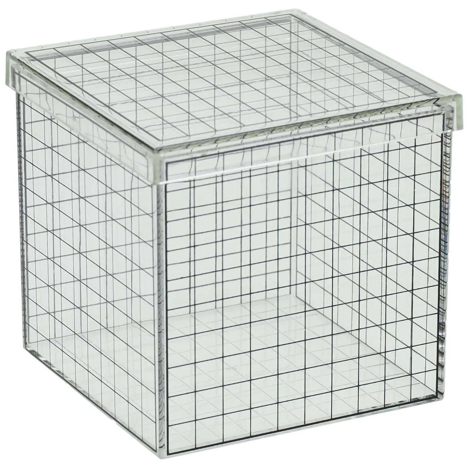 Transparante 3D Rasterkubus - 10x10x10 cm- Clearance