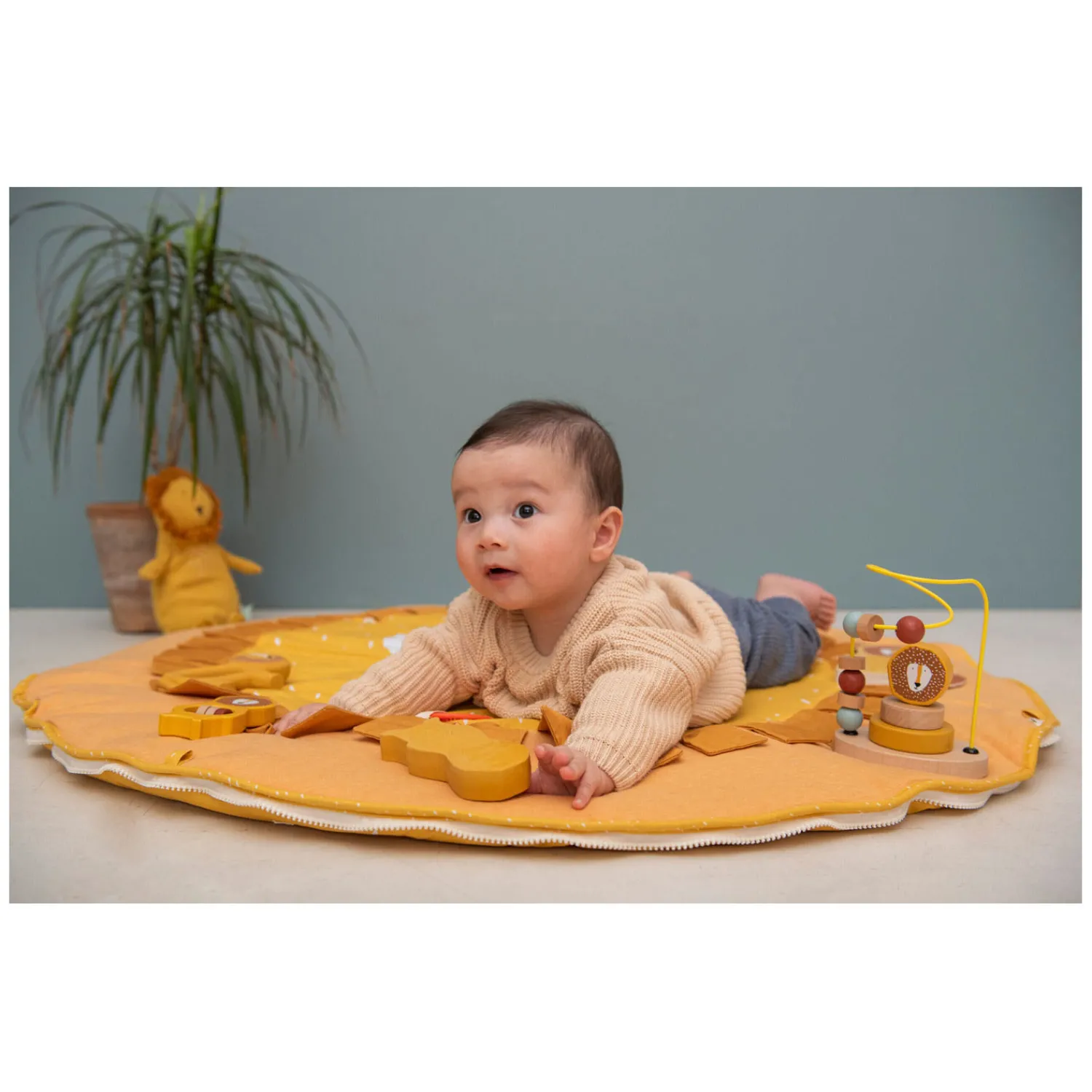 Activiteiten Speelmat - Mr. Lion-Trixie Best