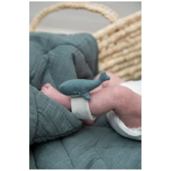 Armbandrammelaar  - Walvis-Trixie Hot