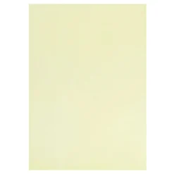 Vellumpapier A4 Lichtgroen, 10 Vellen>Creativ Company