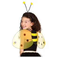 Verkleedset Bij><noscript><img width=