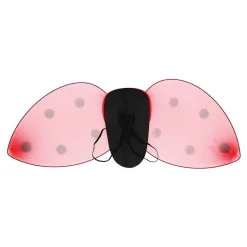 Verkleedset Lieveheersbeestje><noscript><img width=