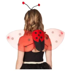 Verkleedset Lieveheersbeestje><noscript><img width=