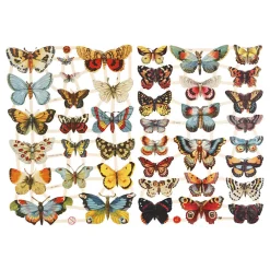 Vintage Plaatjes Vlinders, 2 Vellen-Creativ Company