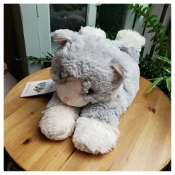 Kat Warmteknuffel-Warmies