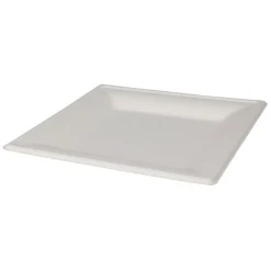 Wegwerpbordjes Vierkant 20cm, 8st.- Sale