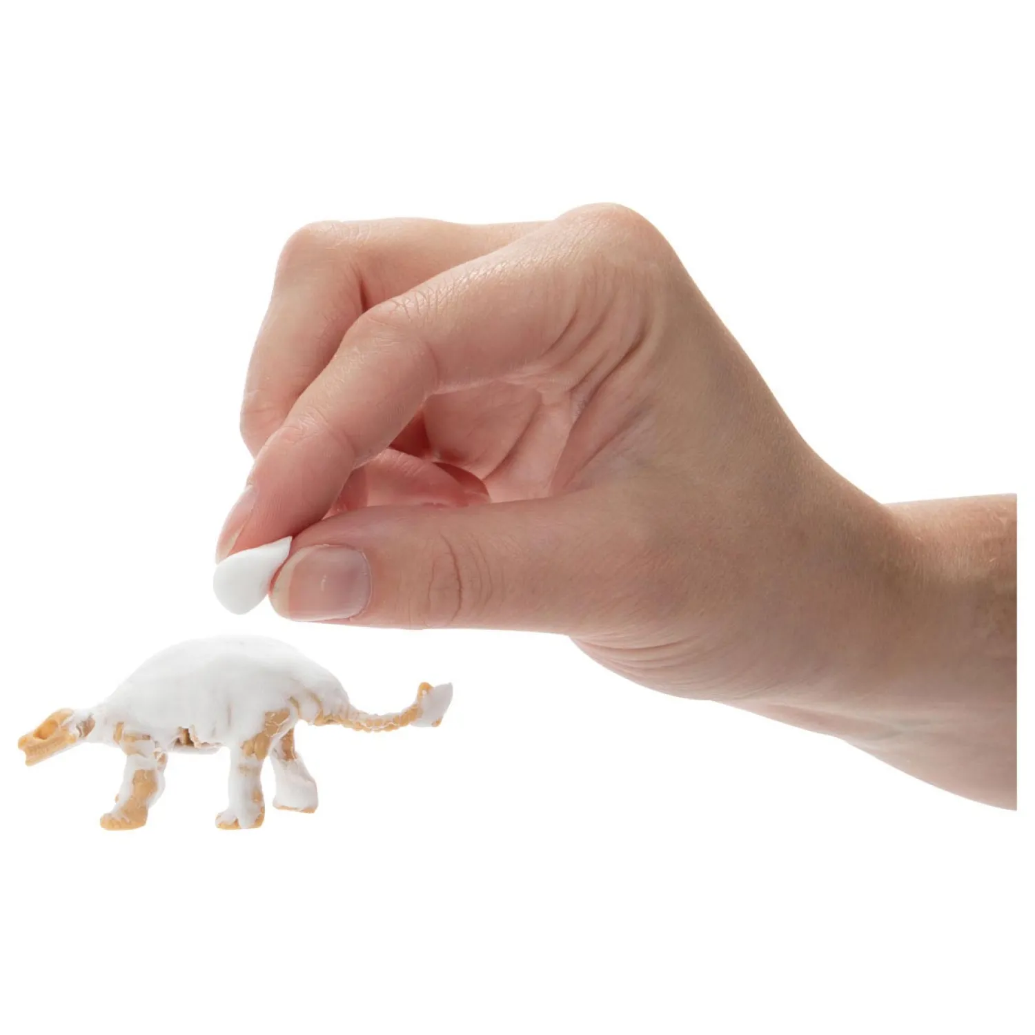 Air Clay Modelleer je eigen Dino Kleiset-World of Dinosaurs New